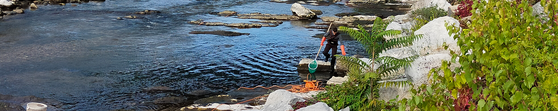 peche-electrique-chantier-s