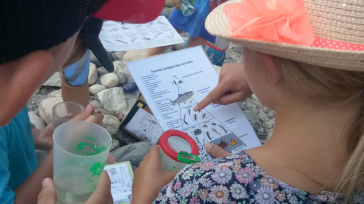 https://www.ardeche-eau.fr/app/uploads/2026/04/Decouvrez-le-role-des-ripisylves-lors-des-crues-et-leur-importance-pour-les-rivieres-lors-dune-animation-nature-en-Ardeche.png
